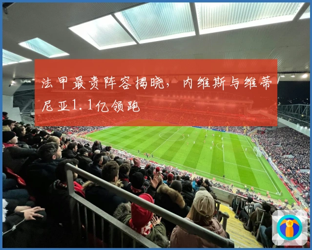 法甲最贵阵容揭晓，内维斯与维蒂尼亚1.1亿领跑