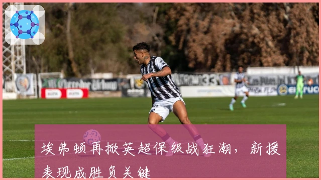 埃弗顿再掀英超保级战狂潮，新援表现成胜负关键