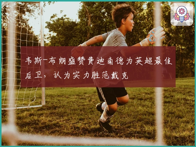 韦斯-布朗盛赞费迪南德为英超最佳后卫，认为实力胜范戴克