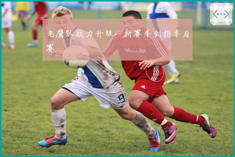 老鹰队战力升级，新赛季剑指季后赛